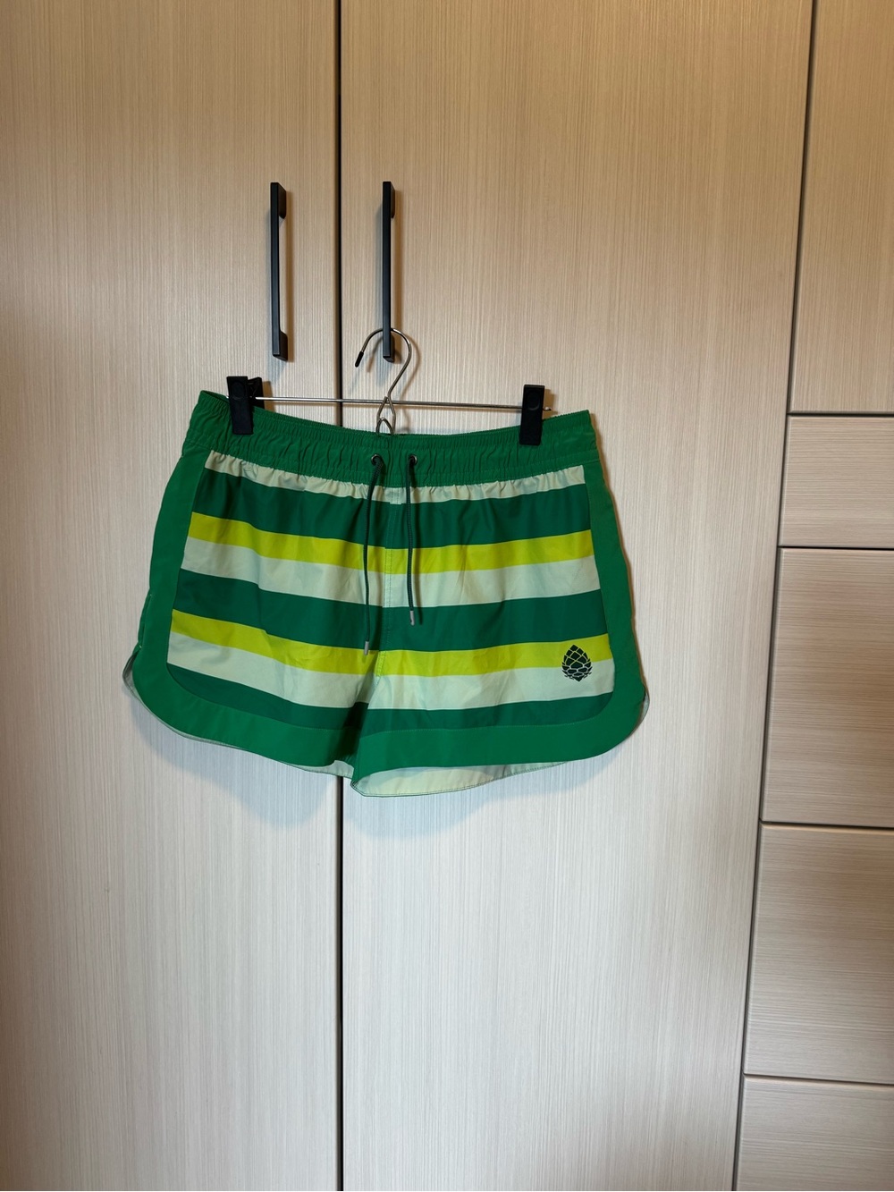 Stio Green Striped Athletic Shorts